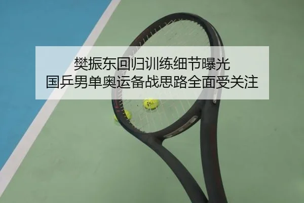 樊振东回归训练细节曝光 国乒男单奥运备战思路全面受关注