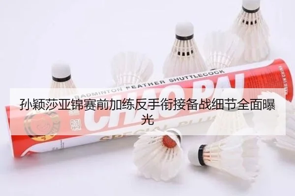 孙颖莎亚锦赛前加练反手衔接备战细节全面曝光